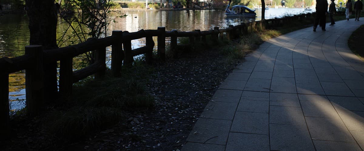 公園の池のほとり